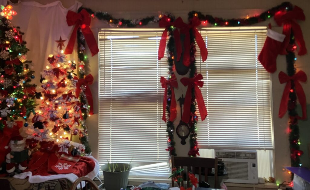 Kitchen windows, Tree 1 and part of Tree 2